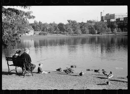 Untitled photo, possibly related to: Small family feeding ducks in park on Saturday afternoon, Minneapolis, Minnesota