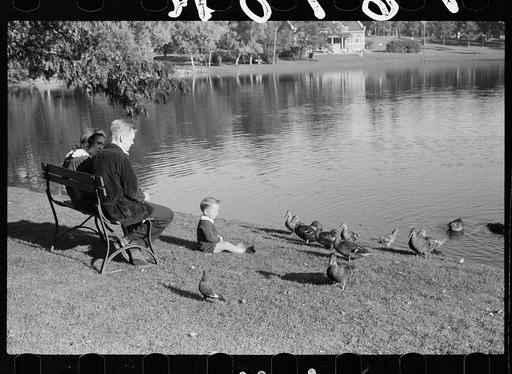 Small family feeding ducks in park on Saturday afternoon, Minneapolis, Minnesota