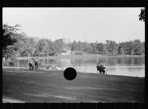 Untitled photo, possibly related to: Small family feeding ducks in park on Saturday afternoon, Minneapolis, Minnesota