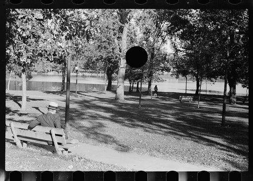 Untitled photo, possibly related to: Small family feeding ducks in park on Saturday afternoon, Minneapolis, Minnesota