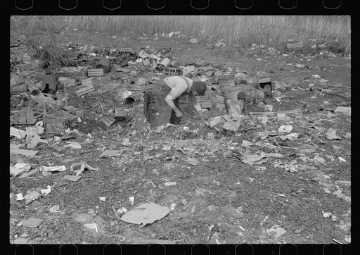 Scavenging the city dump, Dubuque, Iowa