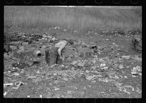 Untitled photo, possibly related to: Foraging for food, city dump, Dubuque, Iowa. Produce houses dump apples, grapefruit, etc., which are not quite bad