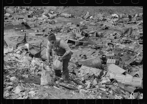 Foraging for food in the city dump, Dubuque, Iowa