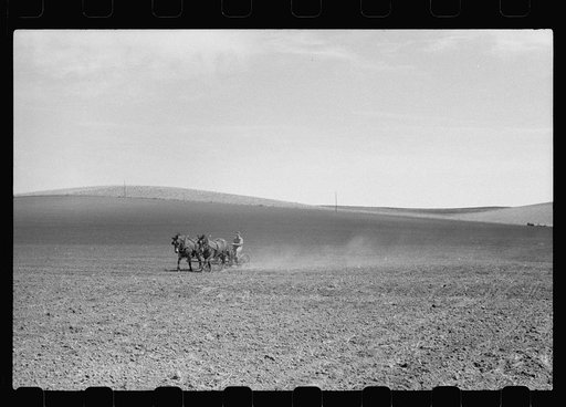 Untitled photo, possibly related to: Adjusting the wire on corn planter, Monona County, Iowa
