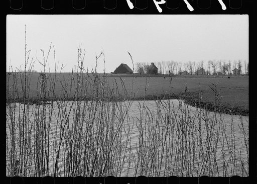 Iowa corn farm along banks of stream, Greene County