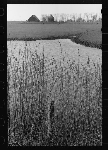Untitled photo, possibly related to: Iowa corn farm along banks of stream, Greene County