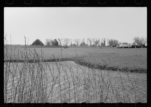 Untitled photo, possibly related to: Iowa corn farm along banks of stream, Greene County