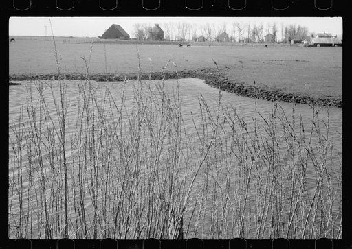 Untitled photo, possibly related to: Iowa corn farm along banks of stream, Greene County