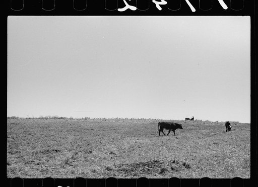 Untitled photo, possibly related to: Scranton, Iowa