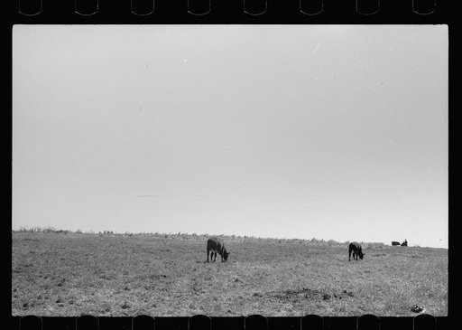 Untitled photo, possibly related to: Scranton, Iowa