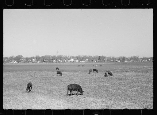 Untitled photo, possibly related to: Scranton, Iowa