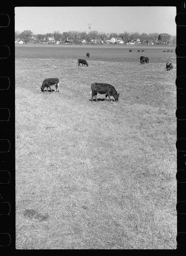 Untitled photo, possibly related to: Scranton, Iowa
