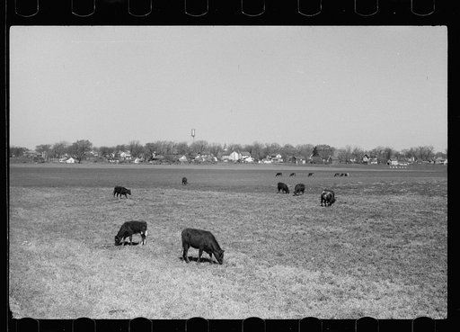Untitled photo, possibly related to: Scranton, Iowa