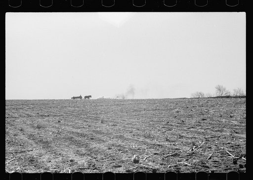 Untitled photo, possibly related to: Spreading manure, Greene County, Iowa