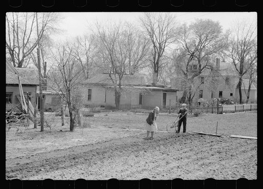 Planting a garden in the backyard, Woodbine, Iowa