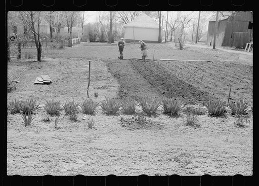Planting a garden in the backyard, Woodbine, Iowa