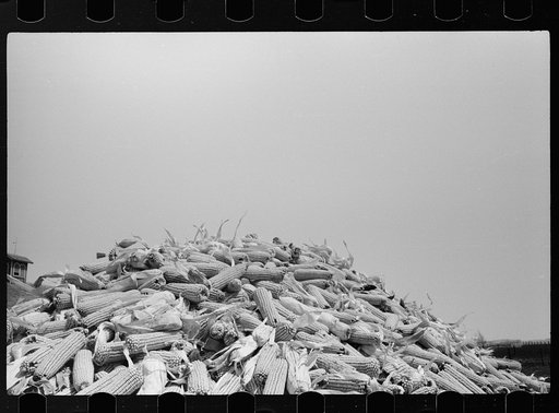 Untitled photo, possibly related to: Hybrid seed corn dryer, Grundy County, Iowa