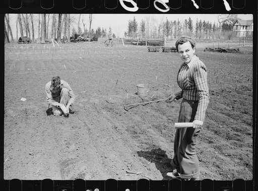 Untitled photo, possibly related to: Son and daughter of corn grower planting test plots of hybrid seed corn, Grundy County, Iowa