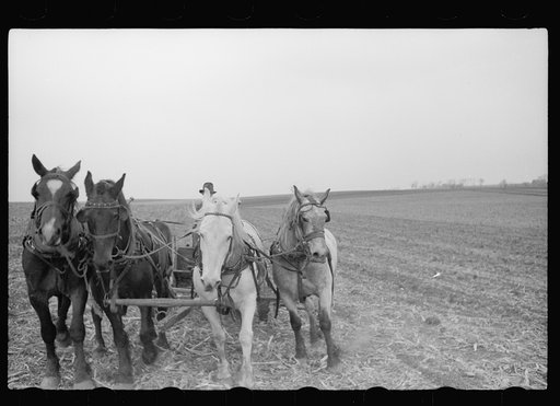 Untitled photo, possibly related to: Plowing with four horses, Grundy County, Iowa