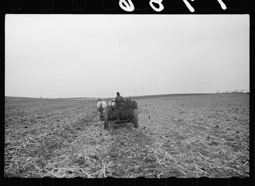 Spreading manure, Grundy County, Iowa
