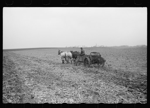 Untitled photo, possibly related to: Spreading manure, Grundy County, Iowa