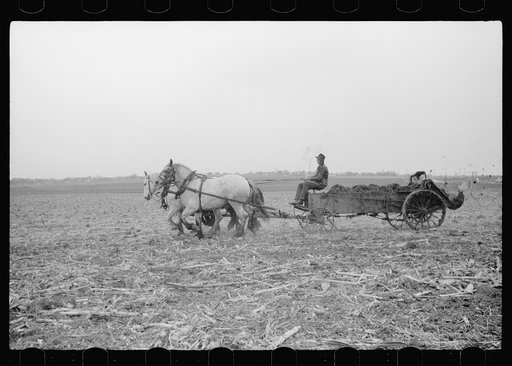 Untitled photo, possibly related to: Spreading manure, Grundy County, Iowa