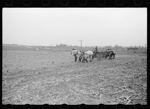 Untitled photo, possibly related to: Spreading manure, Grundy County, Iowa