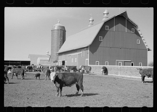 Untitled photo, possibly related to: Barn, Grundy County, Iowa