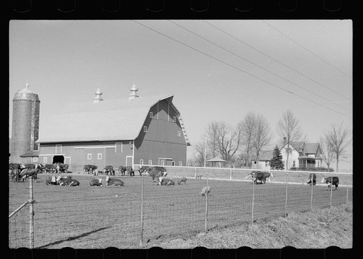 Untitled photo, possibly related to: Barn, Grundy County, Iowa