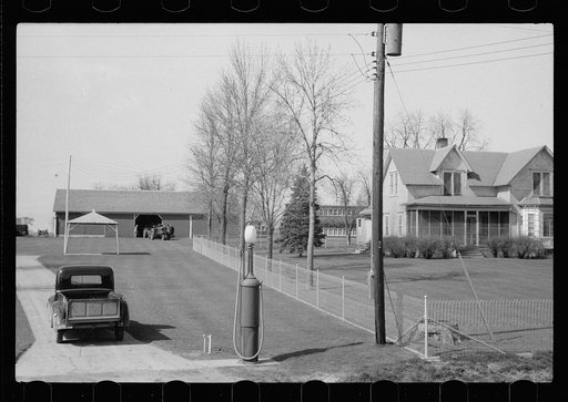 Untitled photo, possibly related to: Cattle of Iowa corn farm, Grundy County, Iowa