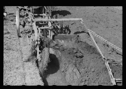 Untitled photo, possibly related to: Plowed sod, Grundy County, Iowa