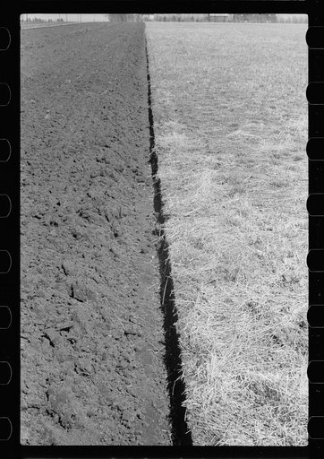 Plowed sod, Grundy County, Iowa