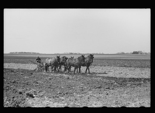 Untitled photo, possibly related to: Plowed sod, Grundy County, Iowa