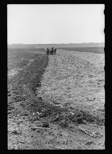 Untitled photo, possibly related to: Plowed sod, Grundy County, Iowa