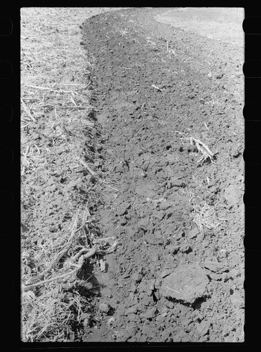 Untitled photo, possibly related to: Plowed sod, Grundy County, Iowa