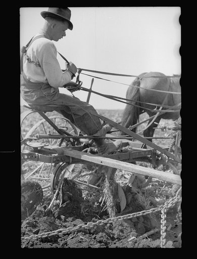 Untitled photo, possibly related to: Plowed sod, Grundy County, Iowa