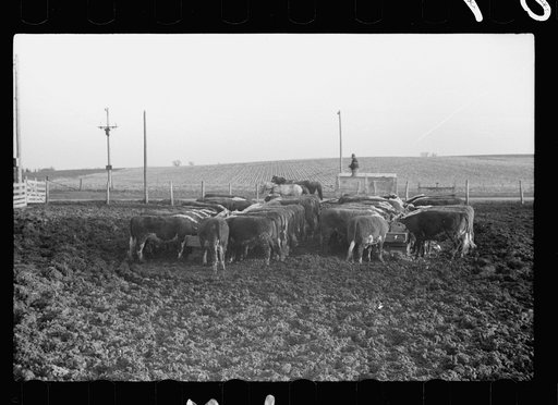 Untitled photo, possibly related to: Plowed sod, Grundy County, Iowa