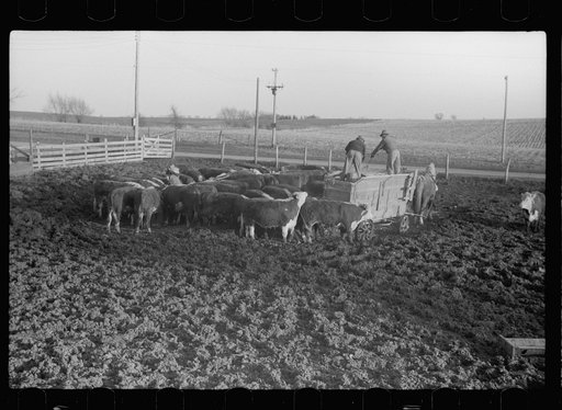 Untitled photo, possibly related to: Plowed sod, Grundy County, Iowa