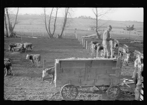 Untitled photo, possibly related to: Plowed sod, Grundy County, Iowa