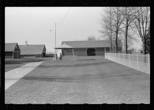 Untitled photo, possibly related to: Fred Coulter's children coming home from school, Grundy County, Iowa