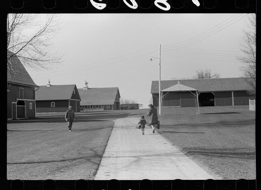 Fred Coulter's children coming home from school, Grundy County, Iowa