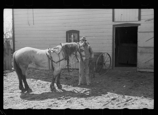 Untitled photo, possibly related to: Leading horses to the barn after unharnessing, Grundy County, Iowa