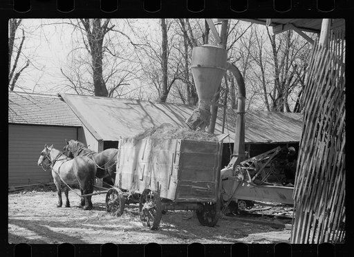Untitled photo, possibly related to: Wagons loaded with ground corn for feed, Grundy County, Iowa