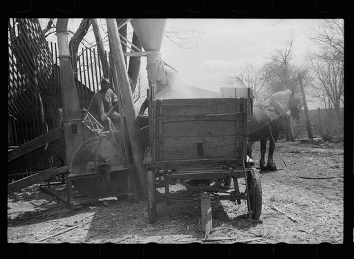 Untitled photo, possibly related to: Unharnessing team of horses, Grundy County, Iowa