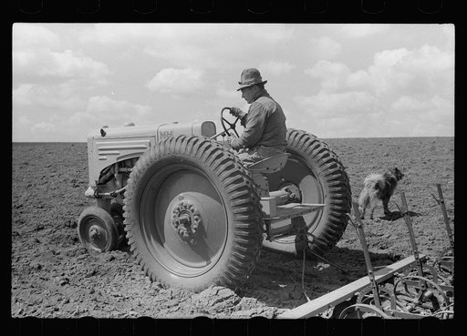 Untitled photo, possibly related to: Boy operating tractor, Grundy County, Iowa