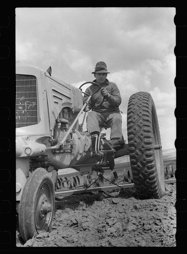 Boy operating tractor, Grundy County, Iowa