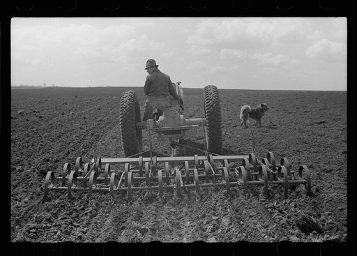 Untitled photo, possibly related to: Boy operating tractor, Grundy County, Iowa