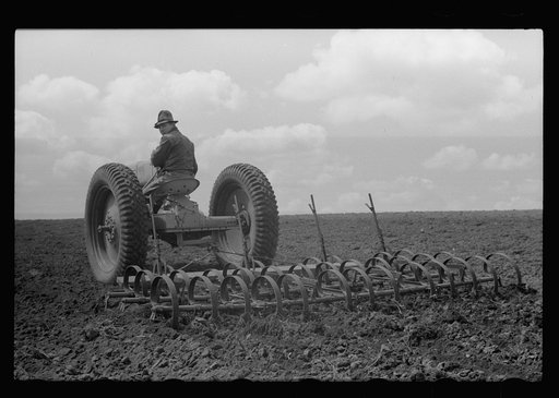 Untitled photo, possibly related to: Boy operating tractor, Grundy County, Iowa
