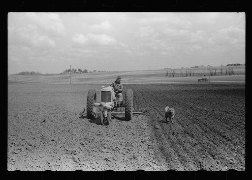 Untitled photo, possibly related to: Boy operating tractor, Grundy County, Iowa