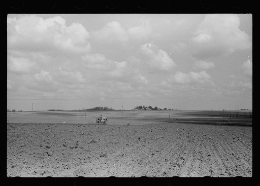 Untitled photo, possibly related to: Boy operating tractor, Grundy County, Iowa